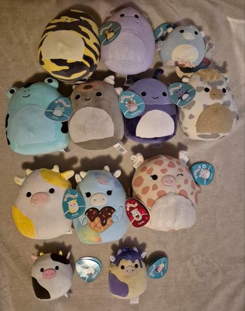 12 squishmallows, Kinderen en Baby's, Speelgoed | Knuffels en Pluche, Zo goed als nieuw, Ophalen of Verzenden