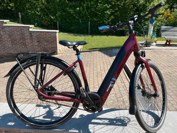 Koga E-Nova Evo PT, 47 tot 51 cm, Ophalen, Zo goed als nieuw, Overige merken