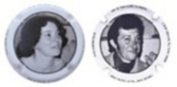 Champagne capsules - Perron-Beauvineau  9b-c (L 7947), Verzamelen, Complete verzamelingen en Collecties, Verzenden