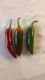 Serano peper, Ophalen of Verzenden, Zaad