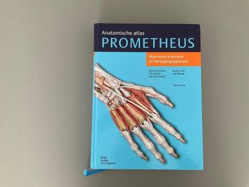 Orthopedie en anatomie beschikbaar voor biedingen