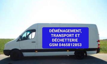 CAMIONNETTE XXL POUR DÉMÉNAGEMENT ET TRANSPORT beschikbaar voor biedingen