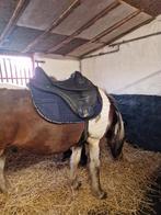 Barefoot boomloos maat 2, Dieren en Toebehoren, Ophalen of Verzenden