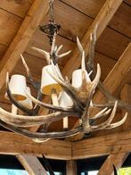 Gewei luster hertengewei, Antiek en Kunst, Ophalen of Verzenden