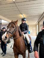 Pony, Ophalen, Zo goed als nieuw