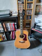 washburn country acoustic gitaar, Muziek en Instrumenten, Ophalen