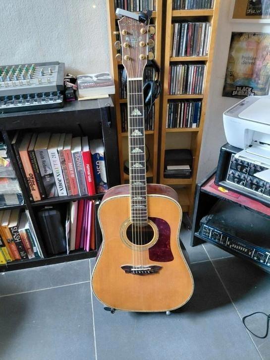 washburn country acoustic gitaar, Muziek en Instrumenten, Instrumenten | Onderdelen, Ophalen