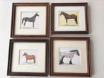 Set van 4 lijsten kaders paarden achter glas, Antiek en Kunst, Ophalen of Verzenden