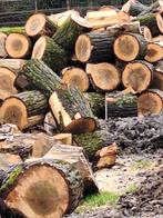 Saule frais, blocs clivés uniquement. Voir les photos, Enlèvement ou Envoi, Bûches