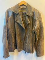 Violeto by Mango Suède leren jack maat XL, Kleding | Dames, Jassen | Winter, Mango, Bruin, Maat 46/48 (XL) of groter, Ophalen of Verzenden