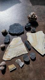 Collection de fossiles, Collections, Minéraux & Fossiles, Minéral, Enlèvement ou Envoi