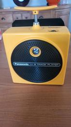 SPACE AGE PANASONICK, Enlèvement