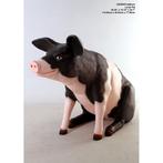 Pig Sitting Pink & Black – Varken beeld Lengte 59 cm