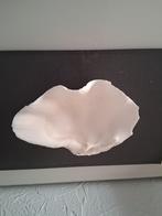 DOOPVONTSCHELP  L. 23 cm, Ophalen of Verzenden