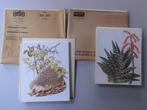 Artis prenten -Succulenten/ Zoogdieren uit Europa 1 volledig, Ophalen of Verzenden, Nieuw, Artis, Plaatjesalbum