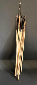 Arrows Ituri Forest Congo. 18pcs., Verzenden