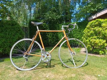 Vélo de route Vintage Gazelle Champion Mondial 1977, Enlèvement, Gazelle, Années 60 ou plus récent