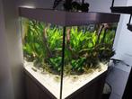 eheim aquarium * mag weg voor 350€! *, Comme neuf, Enlèvement, Aquarium vide