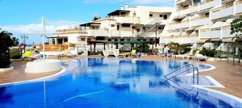 Tenerife Costa adeje Playa Fanabe Studio 2 persone, Immo, Appartementen en Studio's te huur, Provincie Waals-Brabant, 35 tot 50 m²