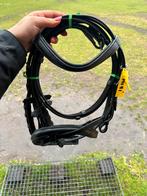 Nieuw hoofdstel shetlander, Ophalen of Verzenden, Nieuw, Recreatie