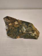 Mineraal Edelsteen- Regenwoud Jaspis (62), Ophalen