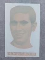 Eddy Merckx, Verzamelen, Ophalen of Verzenden, Nieuw, Poster, Plaatje of Sticker