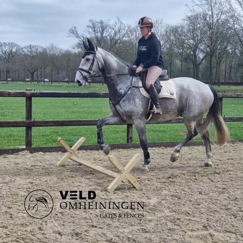 Cavaletti, Cavaletti's, Training, Springbalk, Hindernis, Dieren en Toebehoren, Stalling en Weidegang, Opfok, Stalling, Weidegang