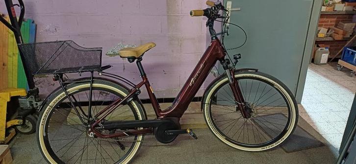 E-bike, Fietsen en Brommers, Elektrische fietsen, Gebruikt, 50 km per accu of meer, Ophalen