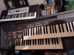 Elektrisch orgel, Musique & Instruments, Orgues, Enlèvement, Utilisé, 2 claviers, Orgue