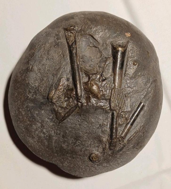 Petit lit de mortuaire de bélemnites d'Angleterre - calmars, Collections, Minéraux & Fossiles, Fossile, Enlèvement ou Envoi