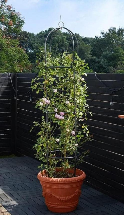 pergolas tuteur colonne pot plantes jardins, Tuin en Terras, Planten | Tuinplanten, Eenjarig, Klimplanten, Volle zon, Winter, Ophalen
