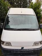 Fiat Ducato bien lire l'annonce !!!, Fiat, Boîte manuelle, Douche, Diesel