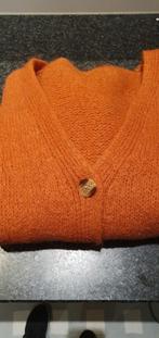 vest breigoed ' bernadette', Verzenden, Nieuw