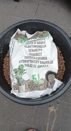 Gratis hydrokorrels / kleikorrels voor planten of groenten, Tuin en Terras, Ophalen, Gebruikt, Kweekbak