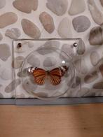 Vlinder vintage decoratie in glas, Ophalen of Verzenden