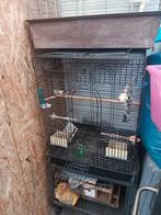 Cages perruque, Enlèvement, Comme neuf, Métal, Cage d'élevage