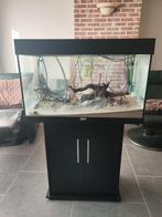 Aquarium Jewel met onderstel, Dieren en Toebehoren, Ophalen