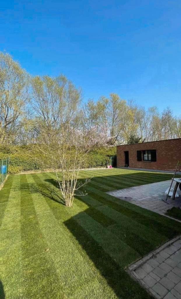 Jardinier & clôture, Animaux & Accessoires, Box & Pâturages