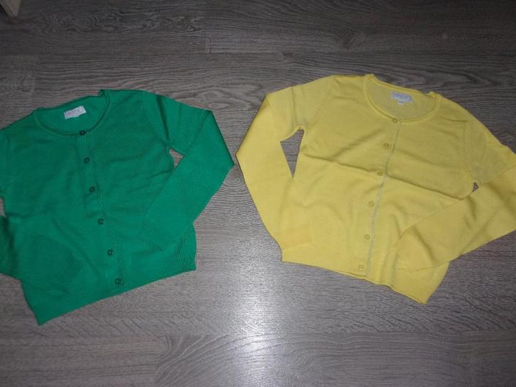 2 SPLINTERNIEUWE meisjes giletjes. Maat 128, Kinderen en Baby's, Kinderkleding | Maat 128, Nieuw, Meisje, Trui of Vest, Ophalen of Verzenden
