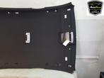 HEMELBEKLEDING BMW M1 (F20) (|2952766|51448054896|), Auto-onderdelen, Interieur en Bekleding, Gebruikt, BMW