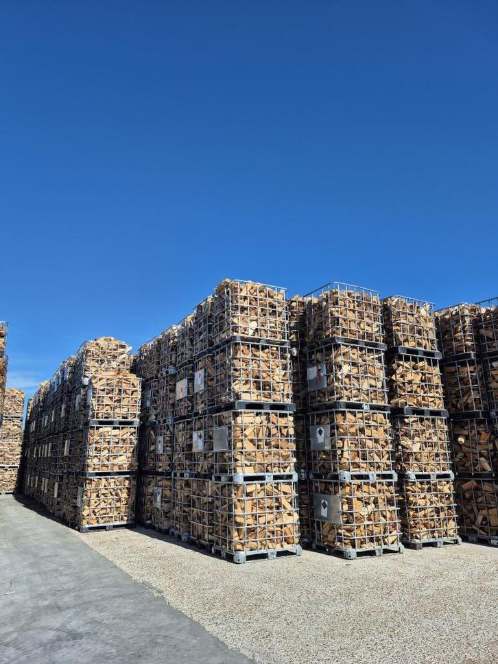 BRANDHOUT Eik en Beuk uit de stam, Diversen, Overige Diversen, Ophalen of Verzenden