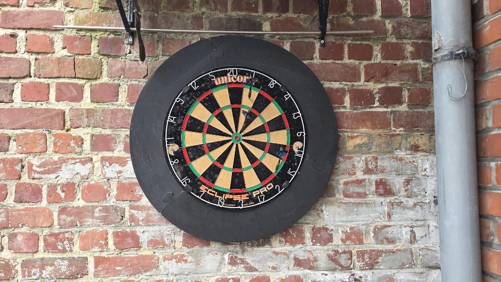 Dartbord met 3 dartpijlen – goede staat, Sport en Fitness, Ophalen of Verzenden, Gebruikt