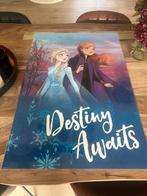 Frozen poster geplastificeerd (90x60), Ophalen, Zo goed als nieuw
