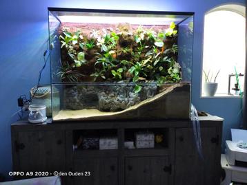 Paludarium voor Planten en Dieren – Queenies Glasbouw, Enlèvement ou Envoi, Neuf, Terrarium ou Paludarium