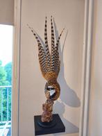 Recent opgezette Koningsfazant fazant taxidermie vogel, Verzamelen, Ophalen of Verzenden, Zo goed als nieuw, Vogel, Opgezet dier