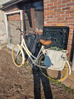 Vélo (torpille), Enlèvement