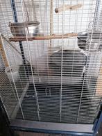 Grote vogelkooi, Dieren en Toebehoren, Ophalen, Vogelkooi