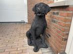 Labrador Retriever 85cm hoog, Tuin en Terras, Ophalen, Nieuw, Beton, Dierenbeeld