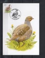 Année 2005 : Carte maximum 3381 - Oiseaux - Perdrix grise -, Timbres & Monnaies, Timbres | Europe | Belgique, Enlèvement ou Envoi