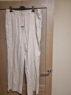 Broek esqualo maat 46 nieuw, Neuf, Taille 46/48 (XL) ou plus grande, Enlèvement ou Envoi, Beige